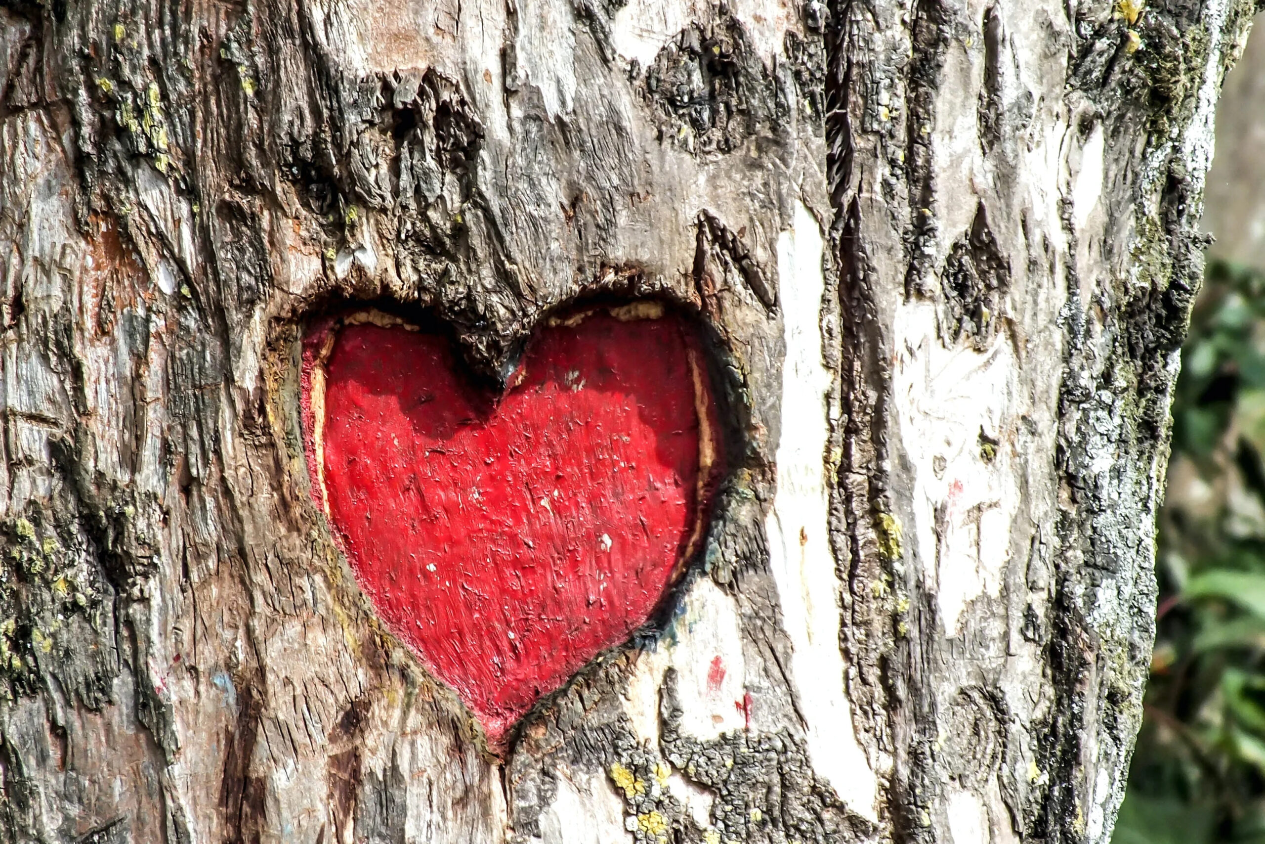 Prioritize Self-Care to Navigate Towards Your Life Purpose